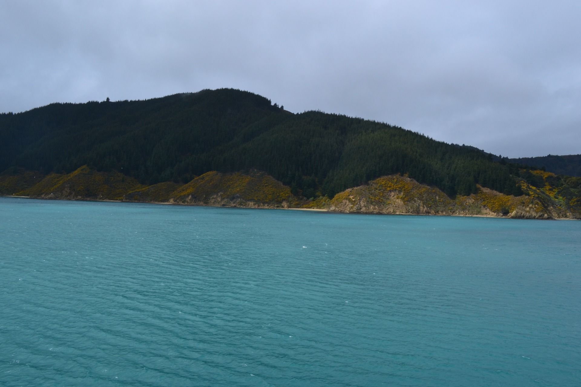 DSC_0038.JPG