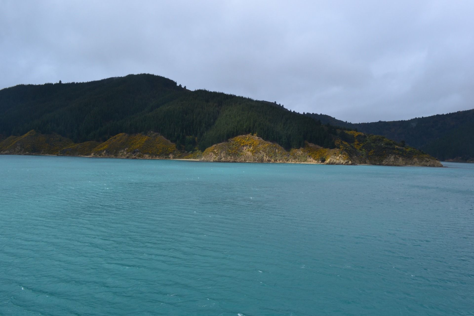 DSC_0039.JPG