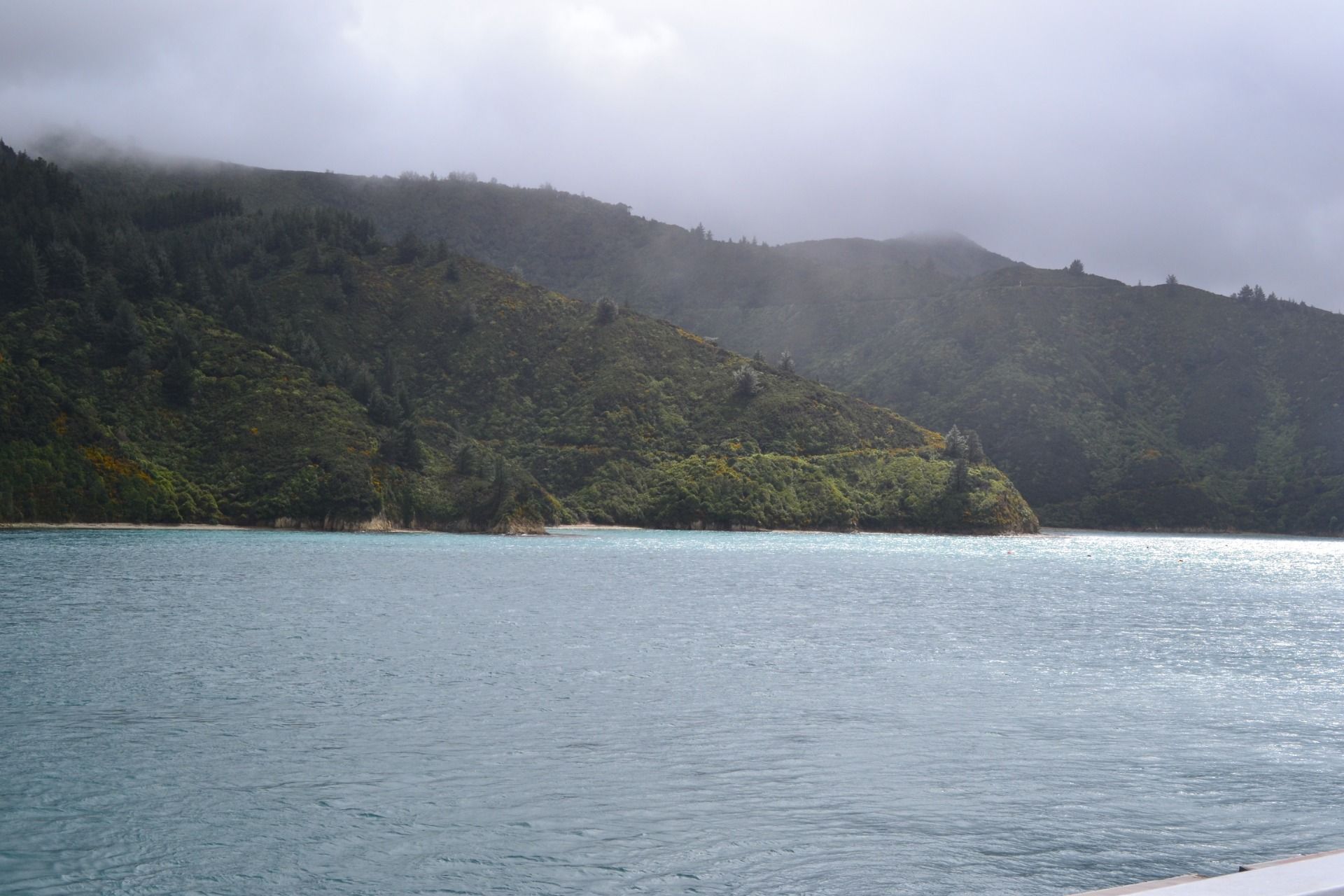 DSC_0040.JPG