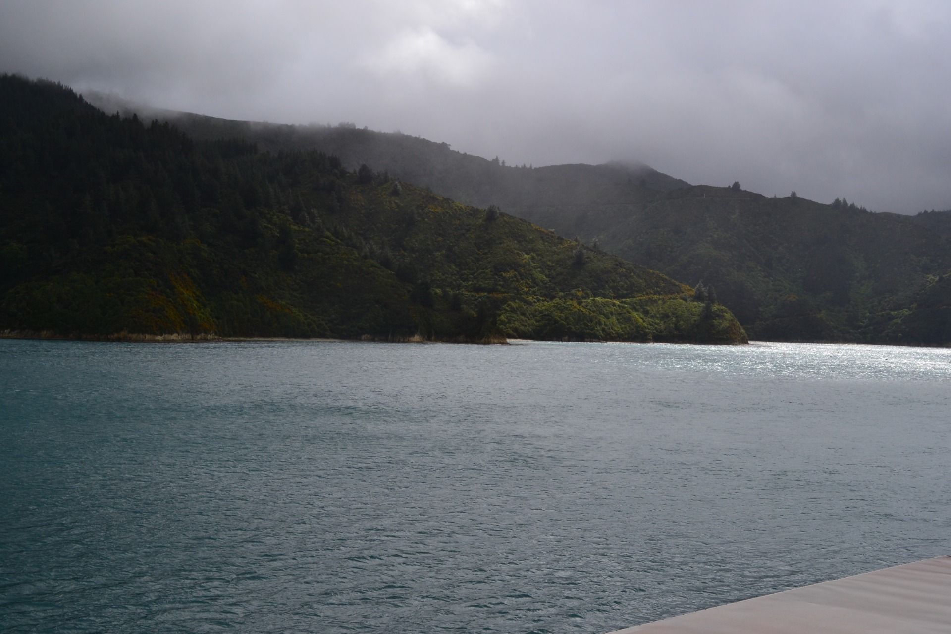 DSC_0041.JPG