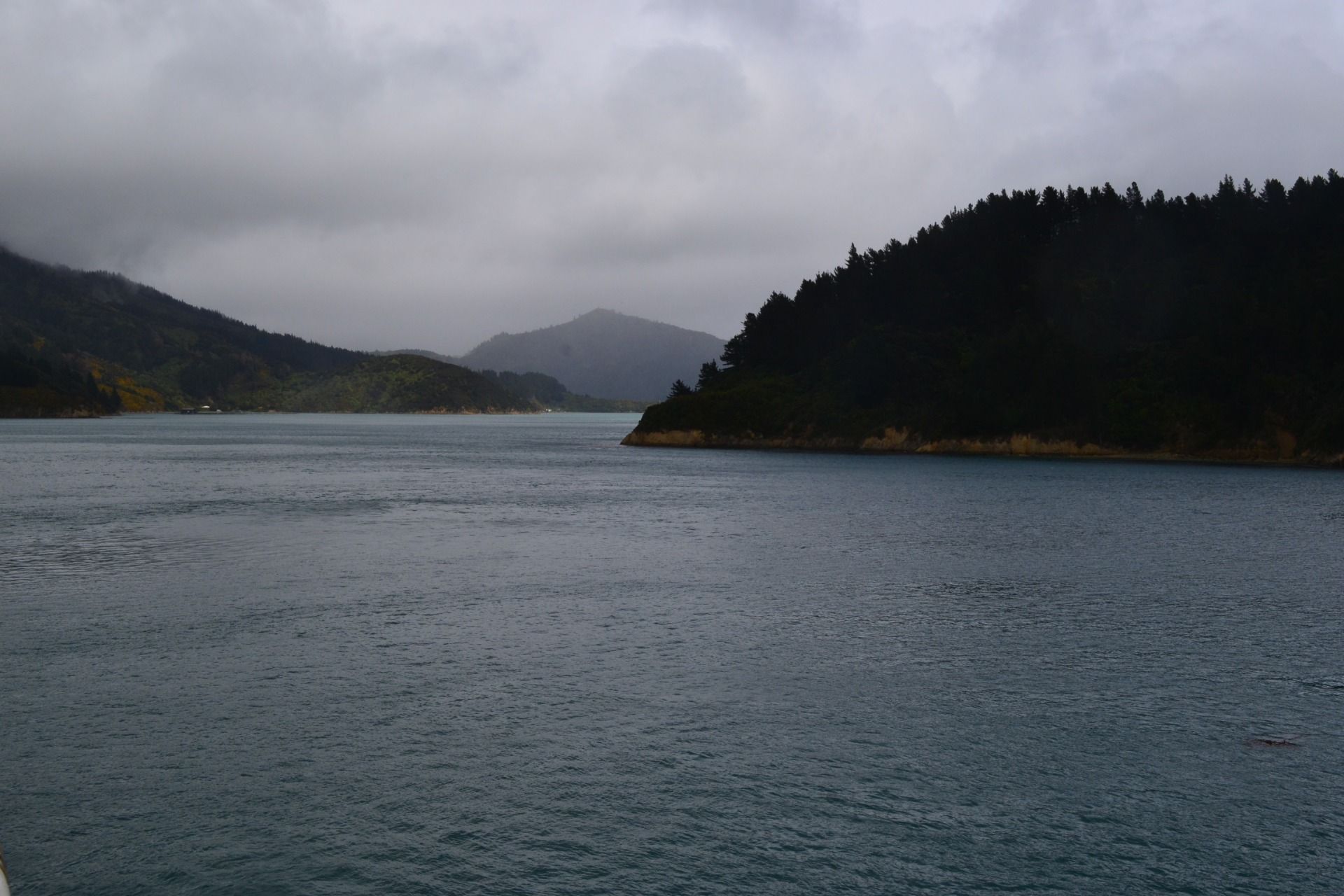 DSC_0042.JPG