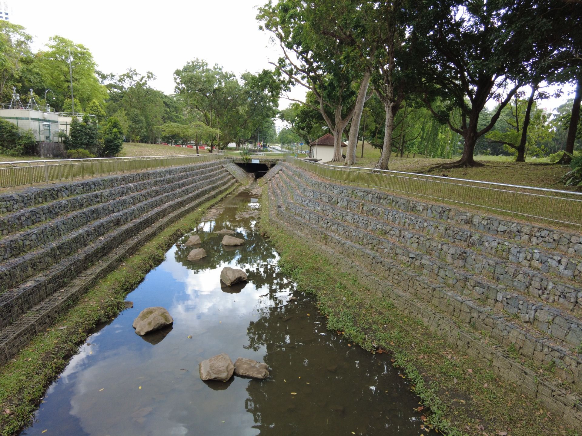 My visit to Bishan Park: A Hidden Gem in Singapore’s Urban Jungle