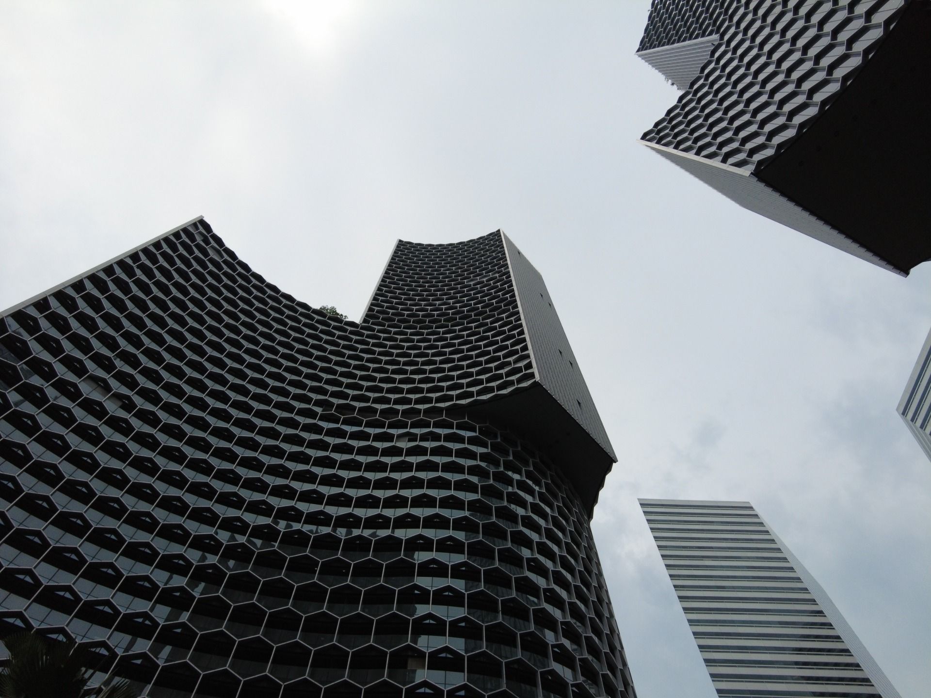 DJI_0596.JPG
