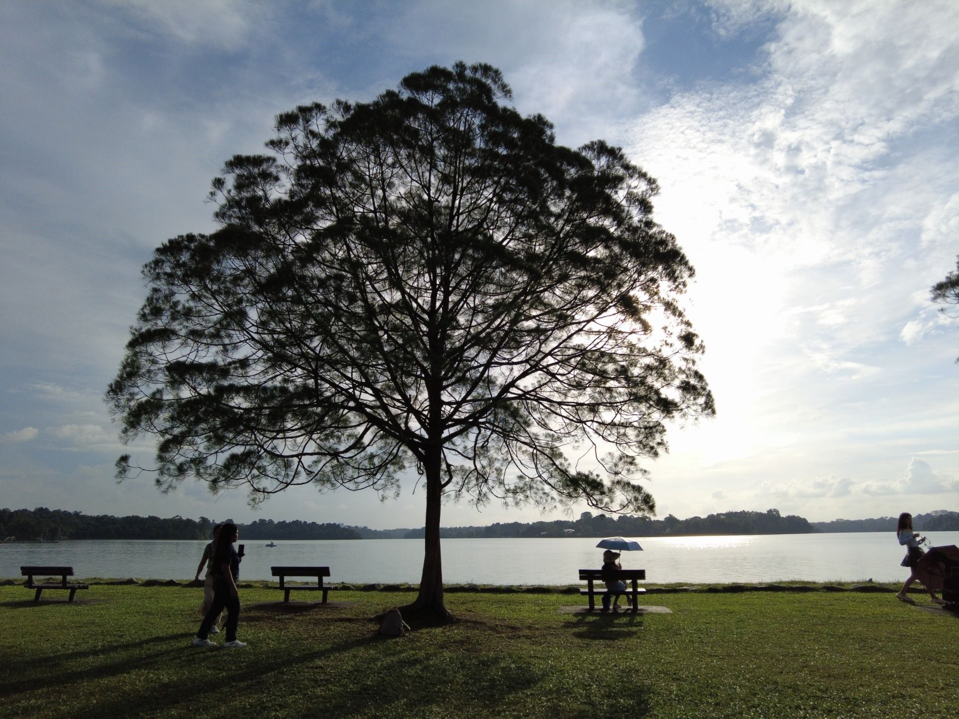 DJI_0790.JPG