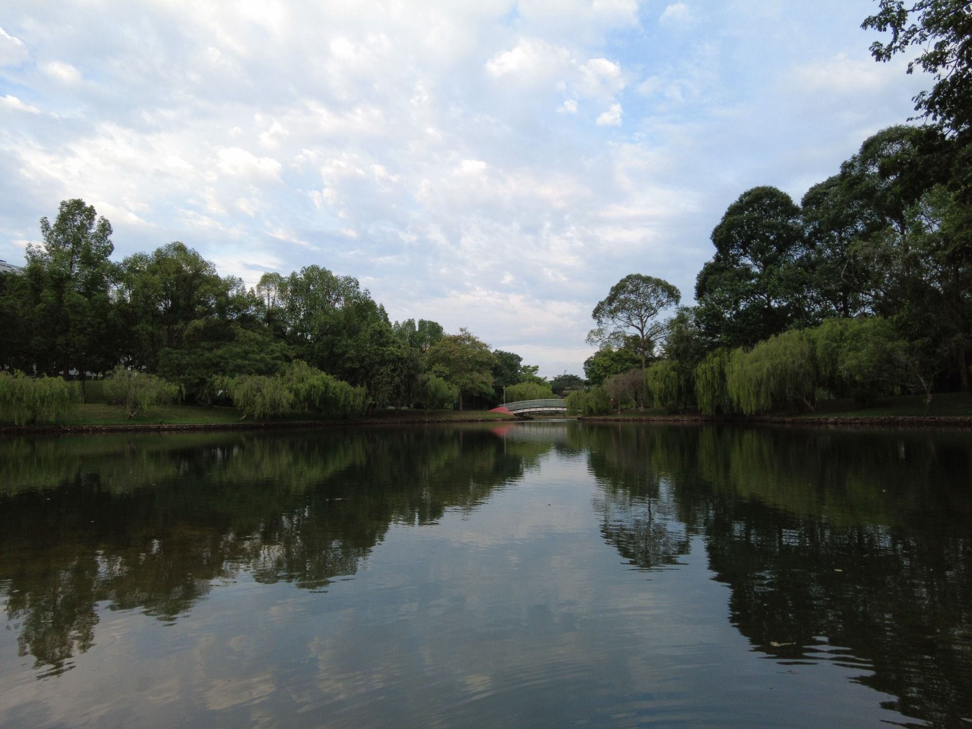 Escape to Serenity: Discovering the Hidden Gem of Bishan-Ang Mo Kio Park