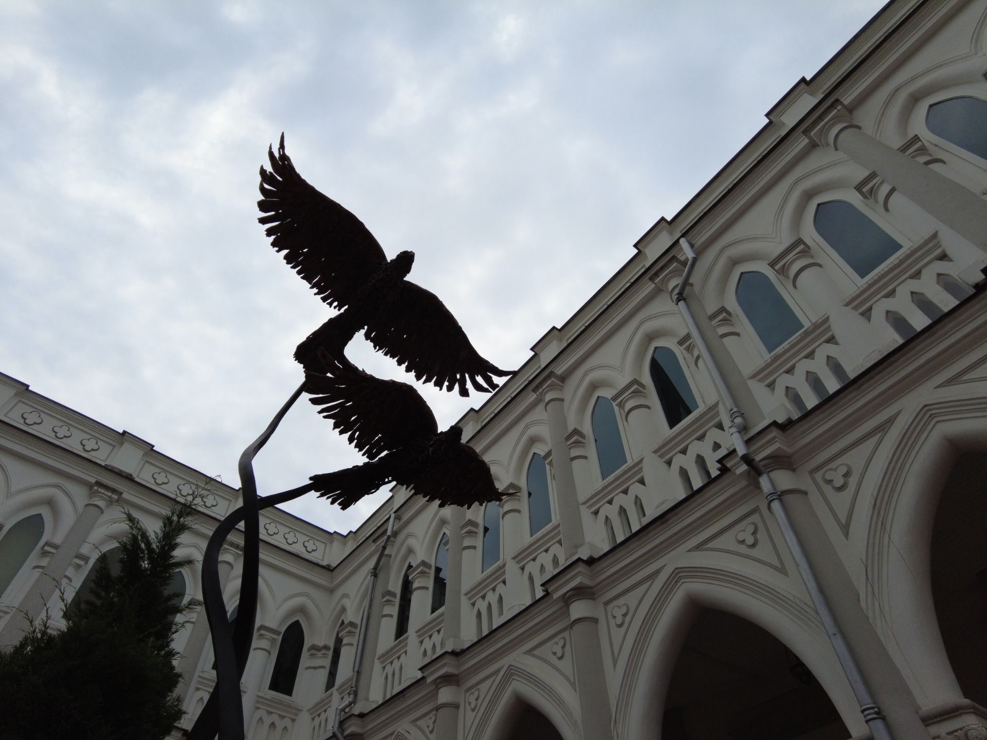 DJI_0533.JPG