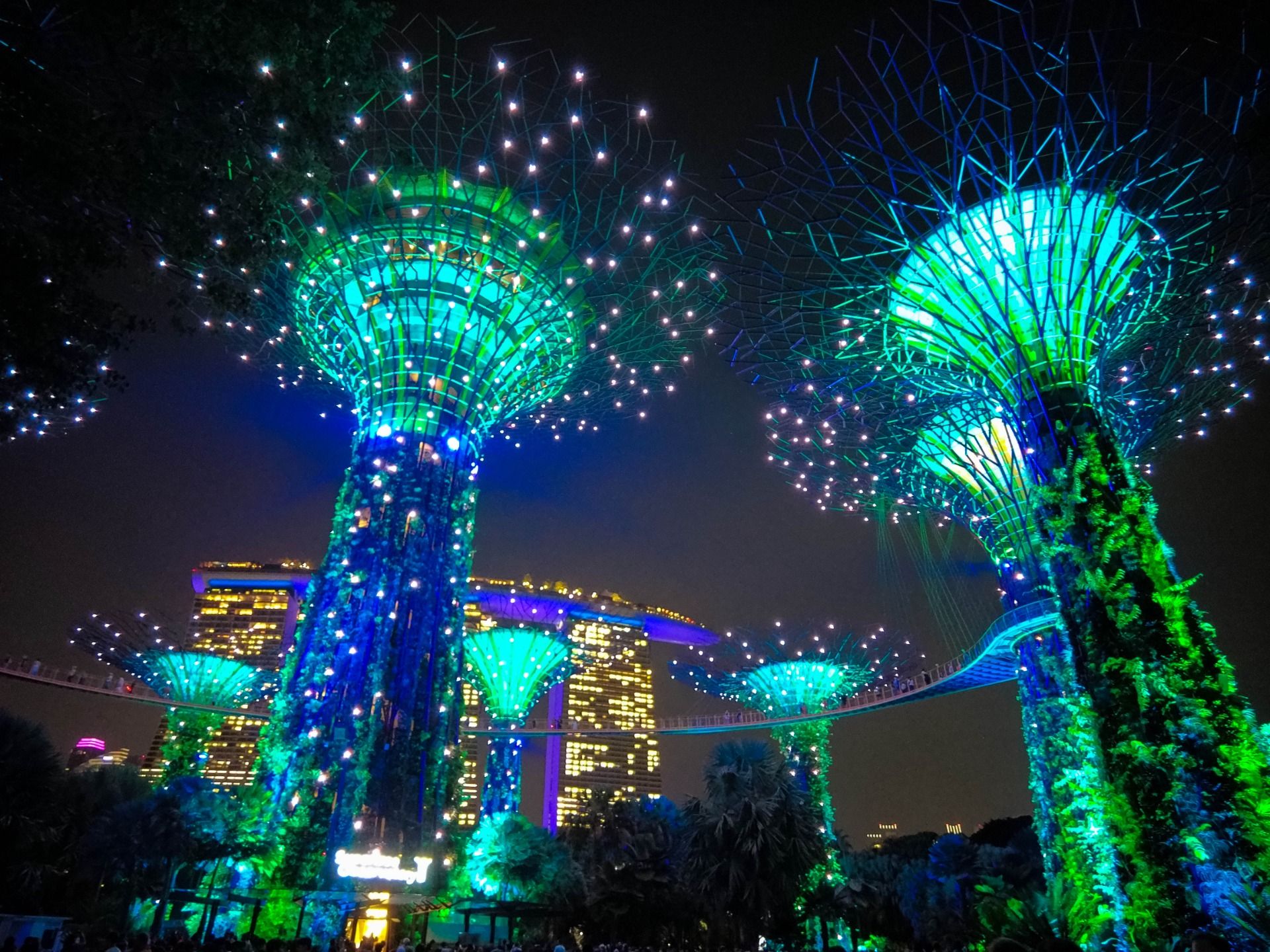 Garden Rhapsody experience at the Gardens by the Bay