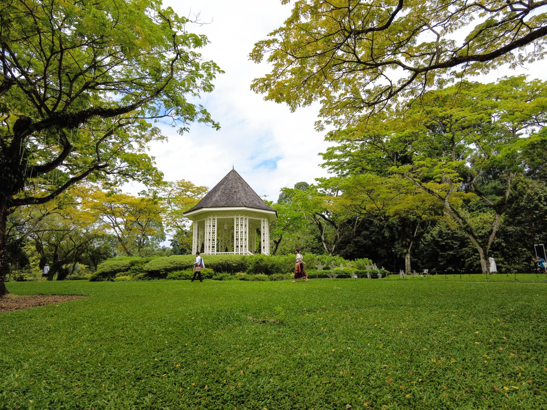 Exploring the Rainforest at the Singapore Botanic Gardens