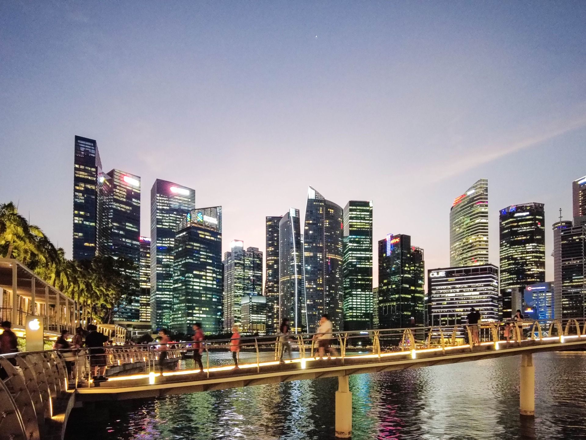 Capturing the Beauty of Marina Bay: From the Boardwalk to the Apple Store Dome