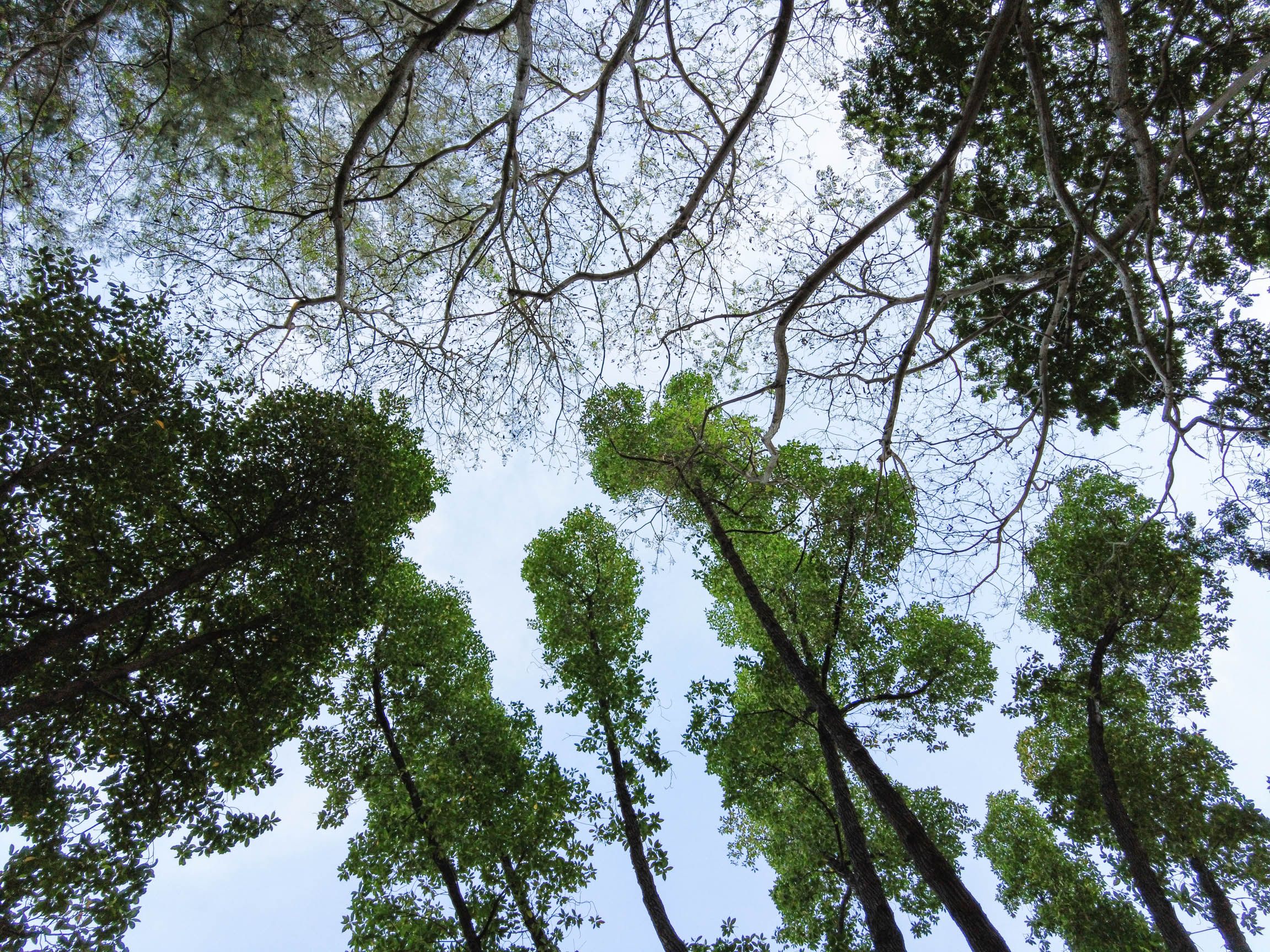 Midweek Recharge: A Photo Walk by the Kallang Riverside