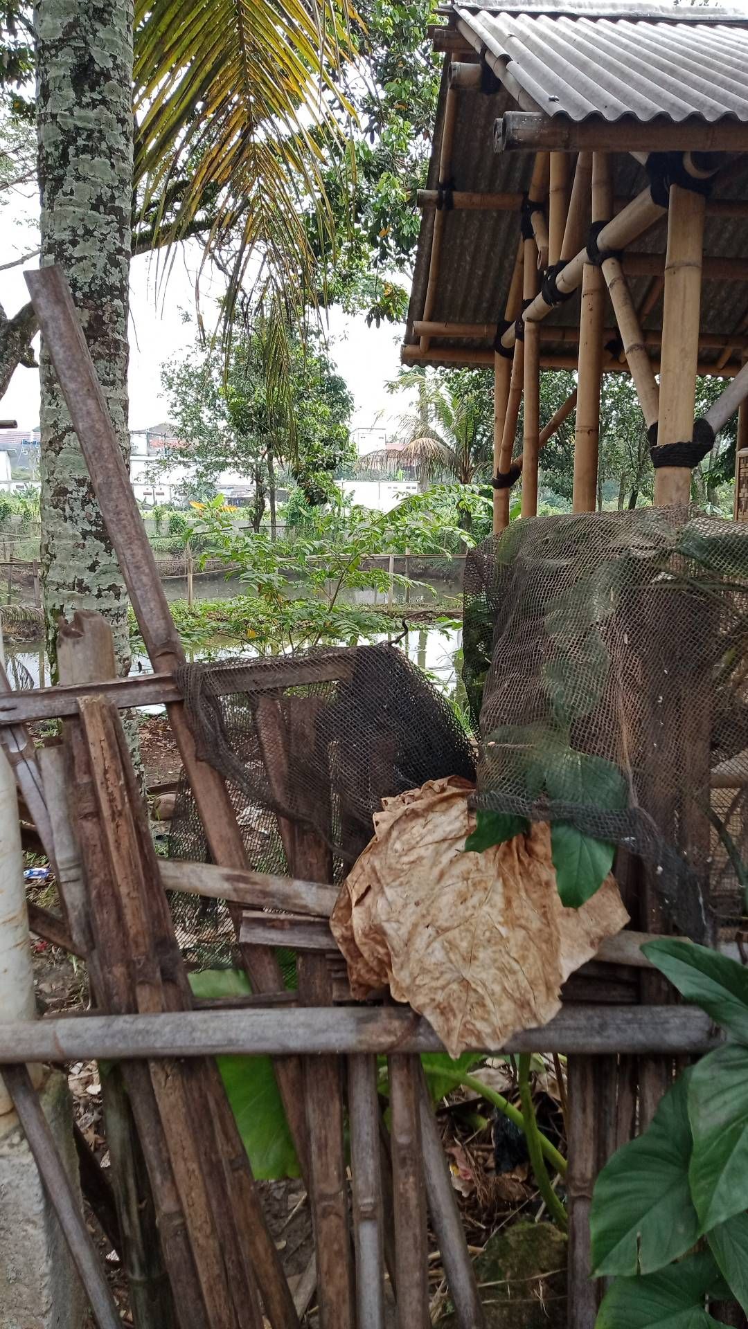 Gubuk - Saung