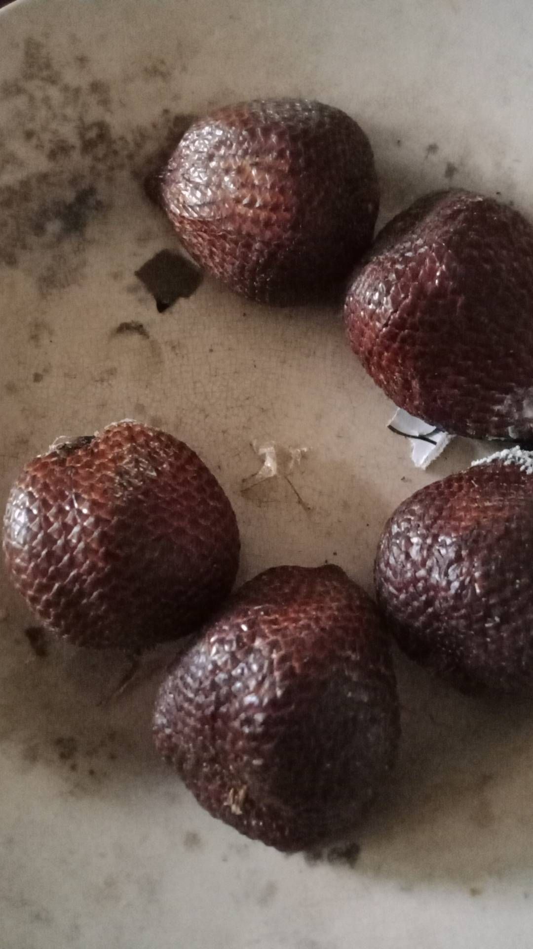 Salak buah