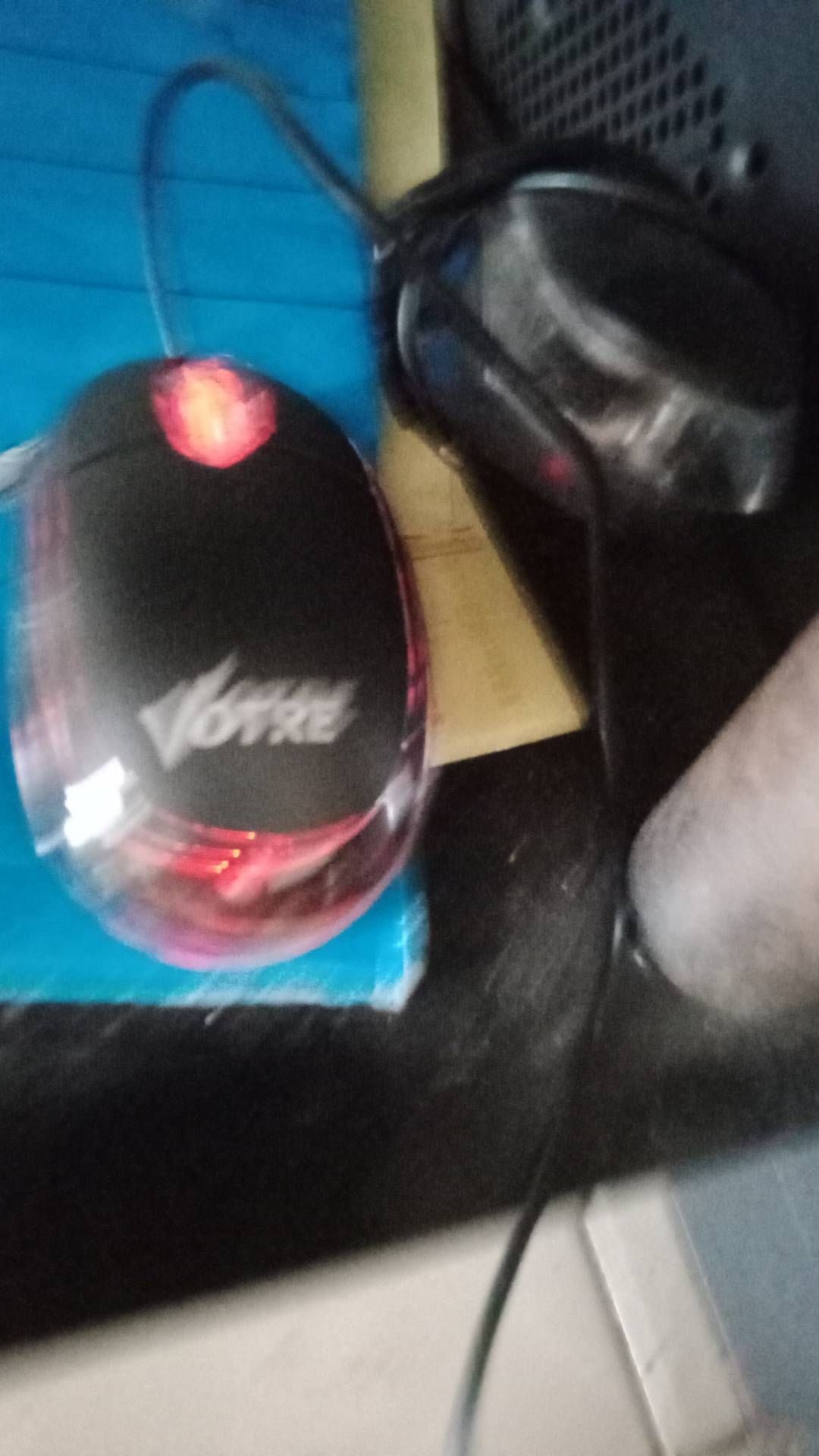 Mouse