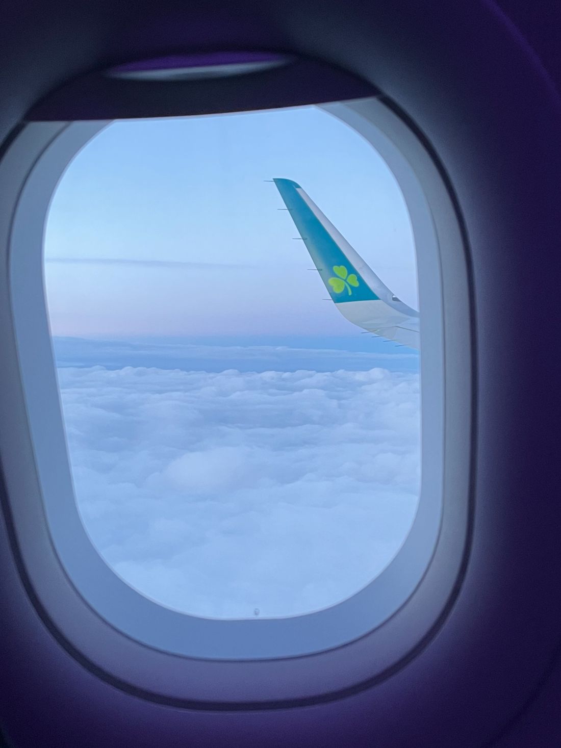 Aer Lingus and the flying shamrock.