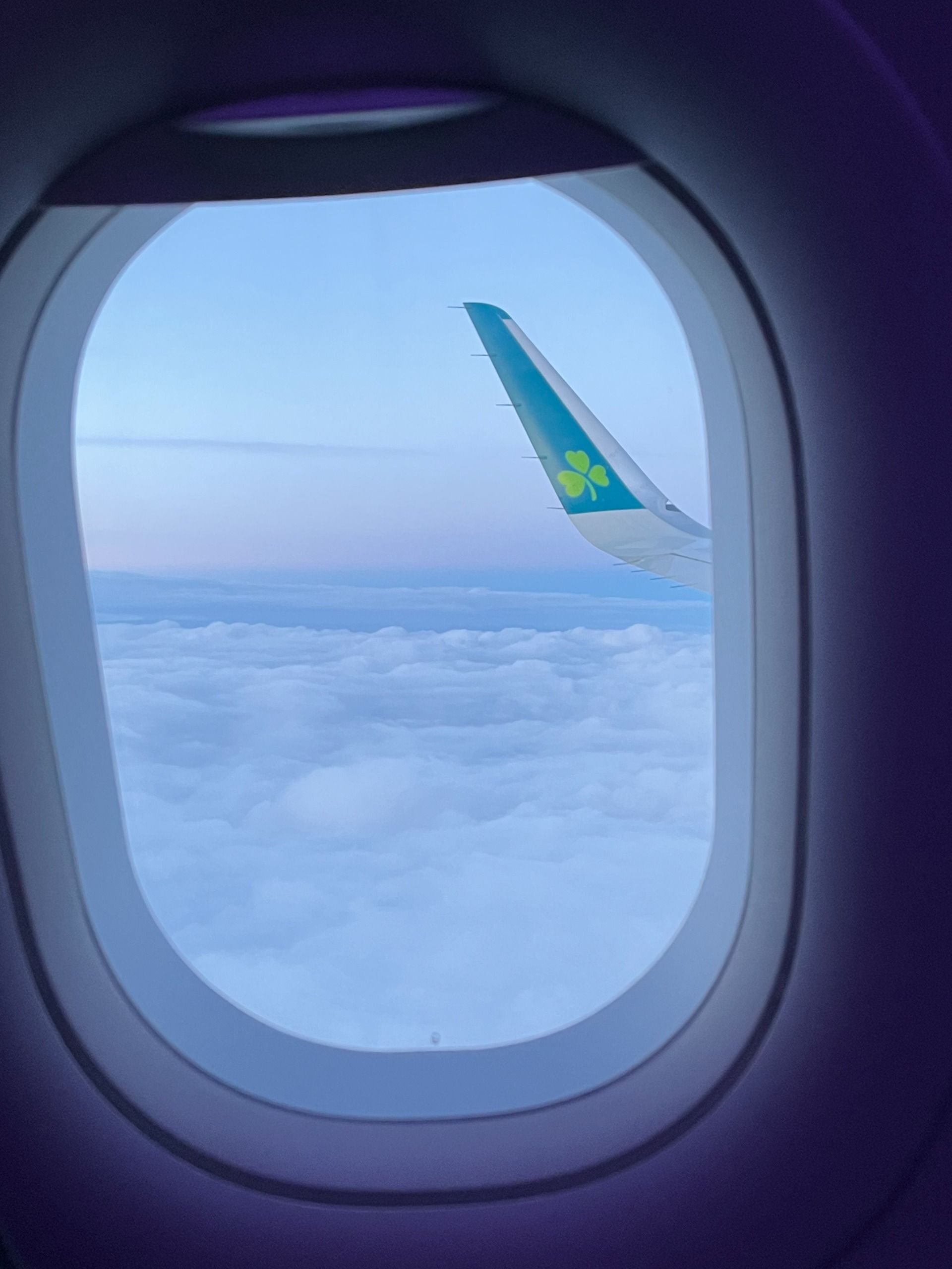 In which I arrive in Florence and am betrayed by my trusty plastic steed