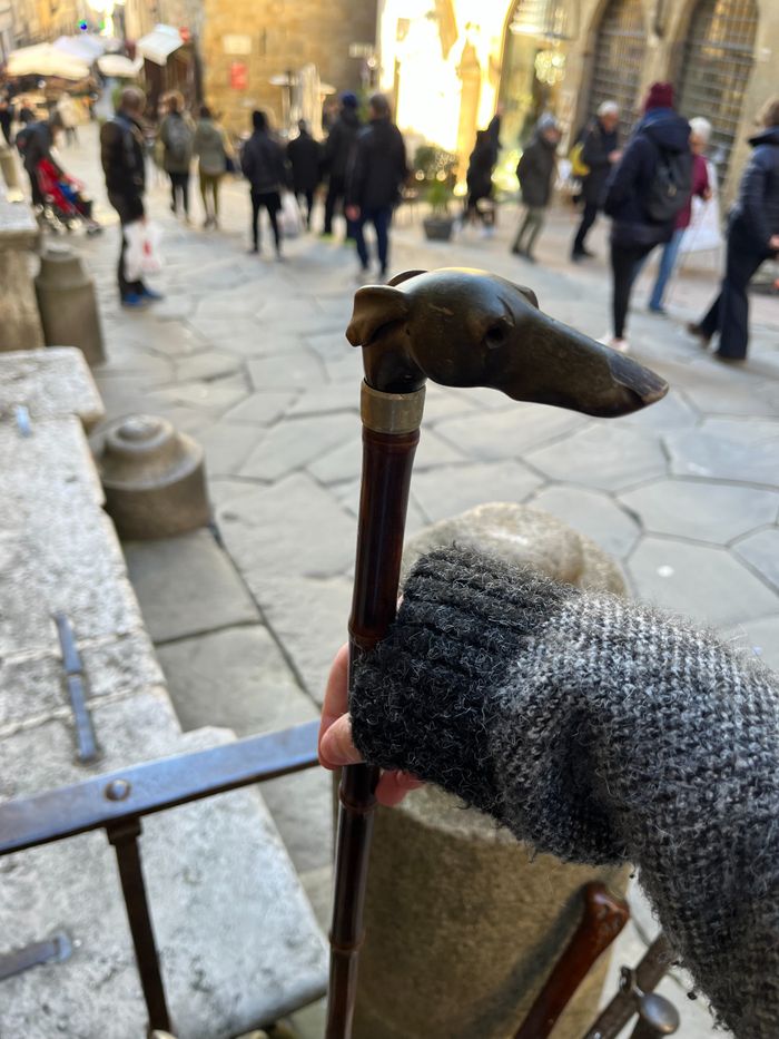 Walking stick I will use when I become and old man.