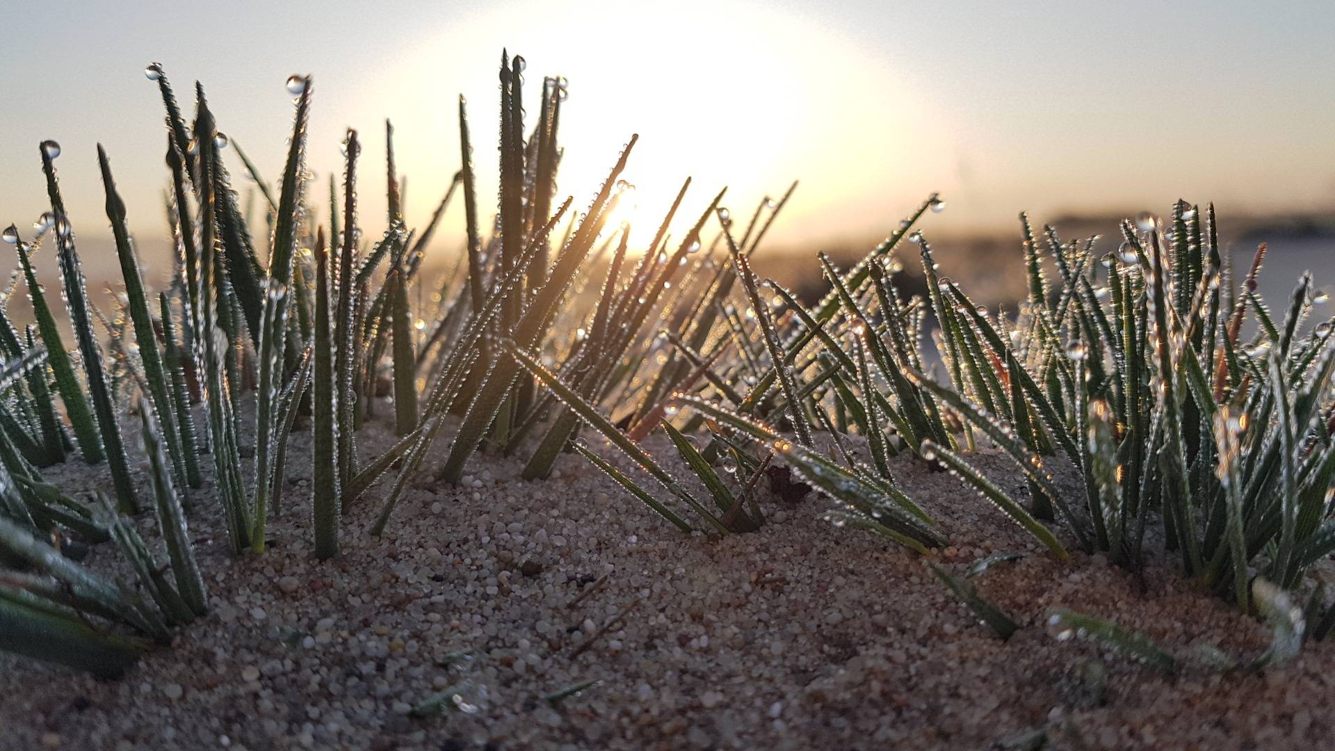 Sunrise at the polish desert. 