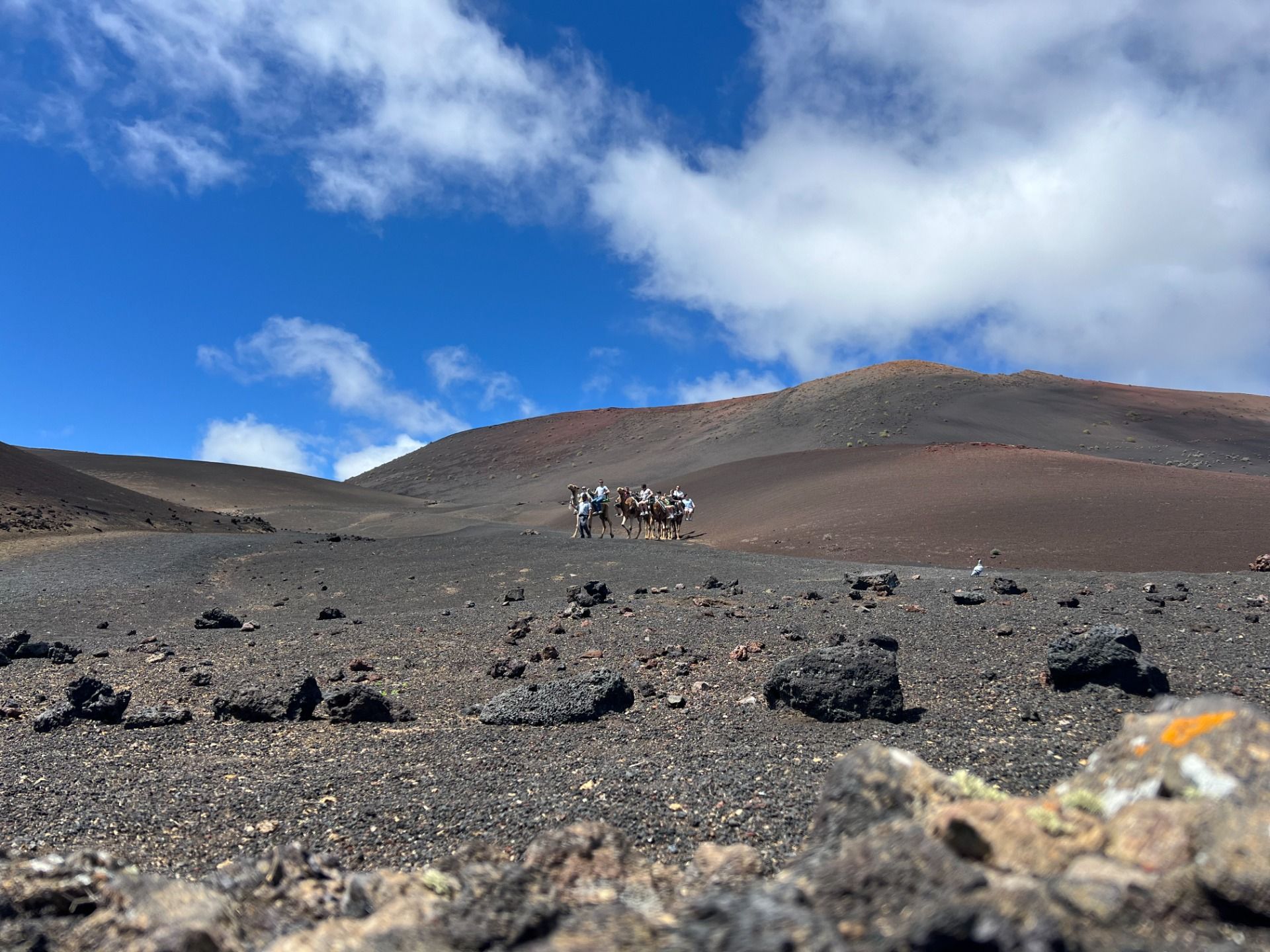 The vulcanic island Lanzarote
