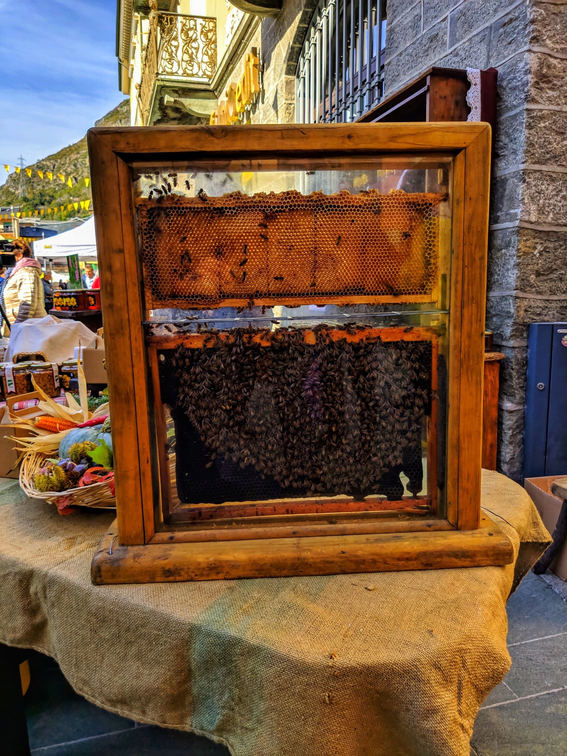 Festa del Miele e dei suoi derivati