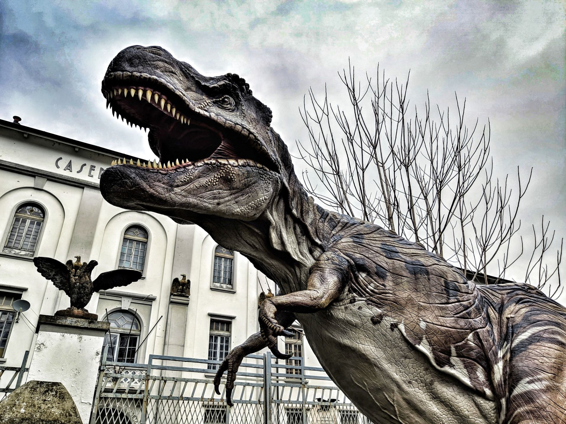 T-Rex: Dinosaur King