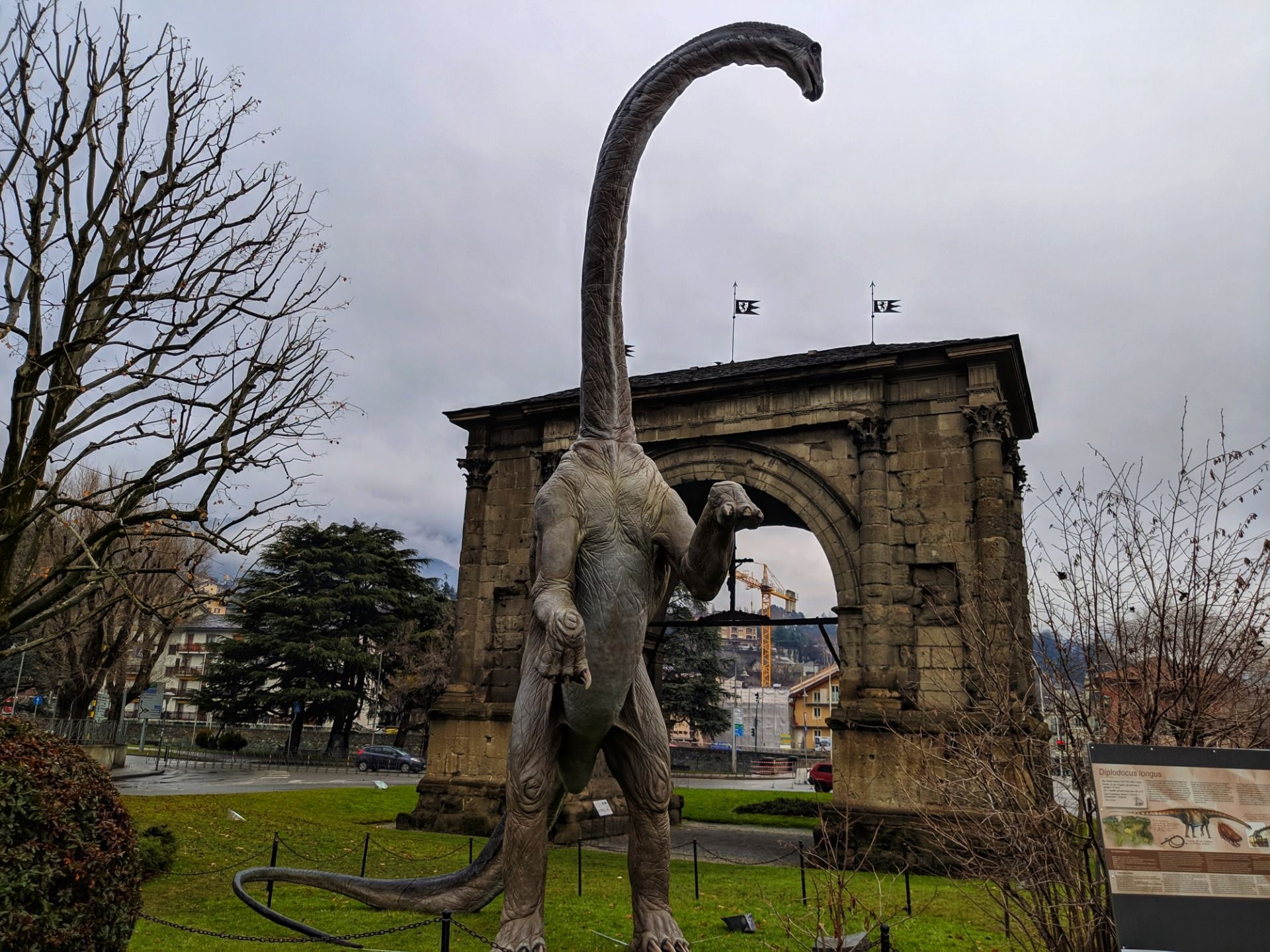 Back in time: Diplodocus Longus