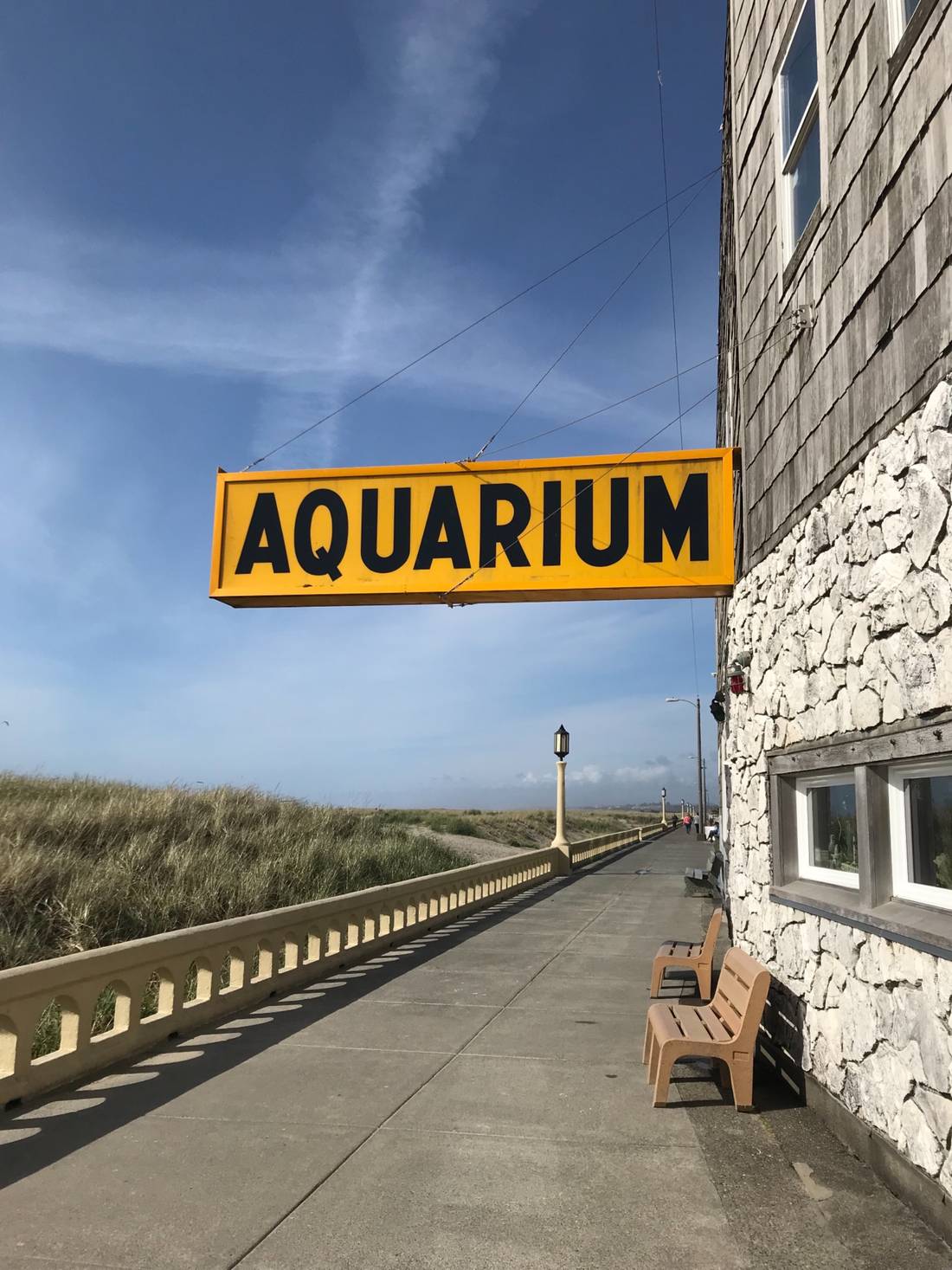 Walking past the aquarium on the Seaside Promenade. The “Prom” is 15 feet wide and 1.5 miles long. The path is the border between the town and beach and runs parallel to the Pacific Ocean. It is a fabulous place for a stroll.