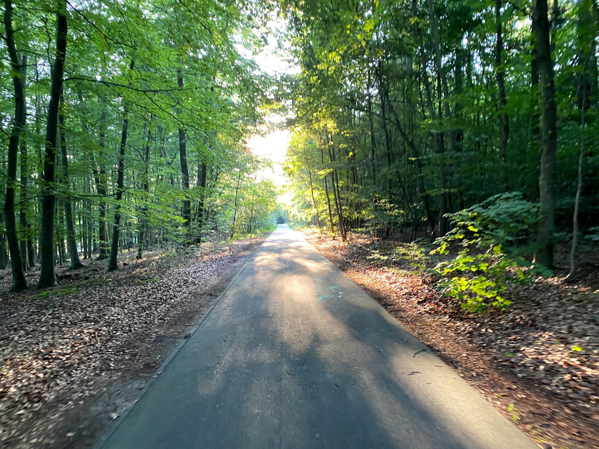 Love cycling in the summer evening light