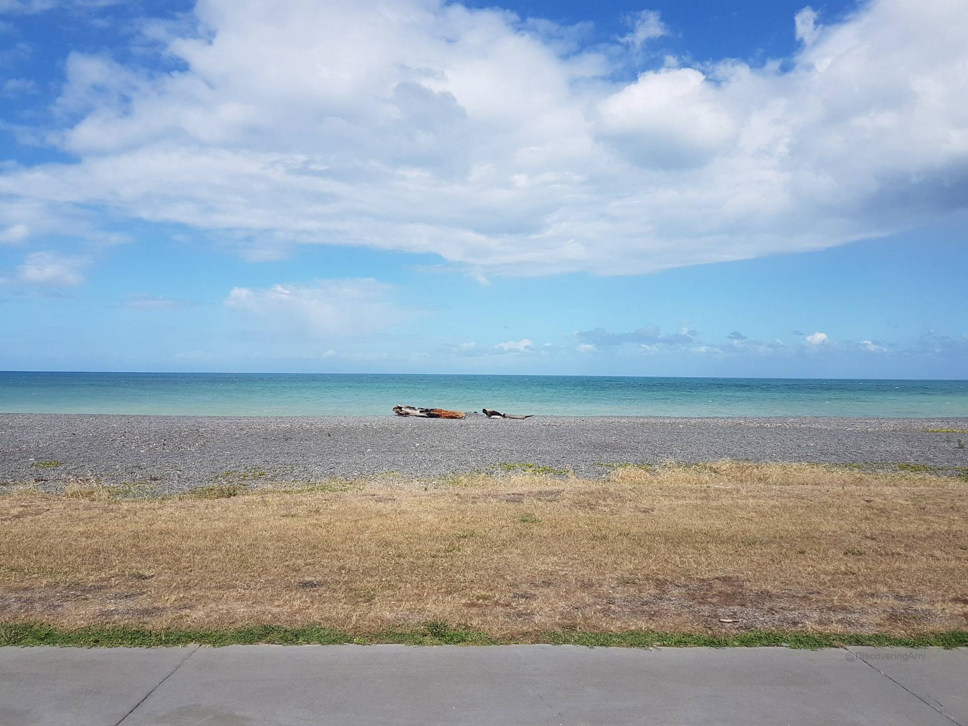 Napier’s View of the Pacific at Hawke’s Bay