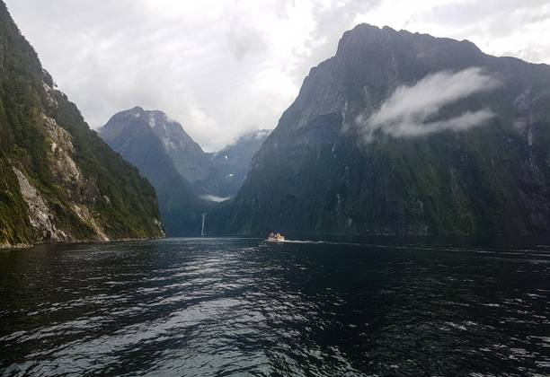 Why a Day Trip to Milford Sound Was on Our