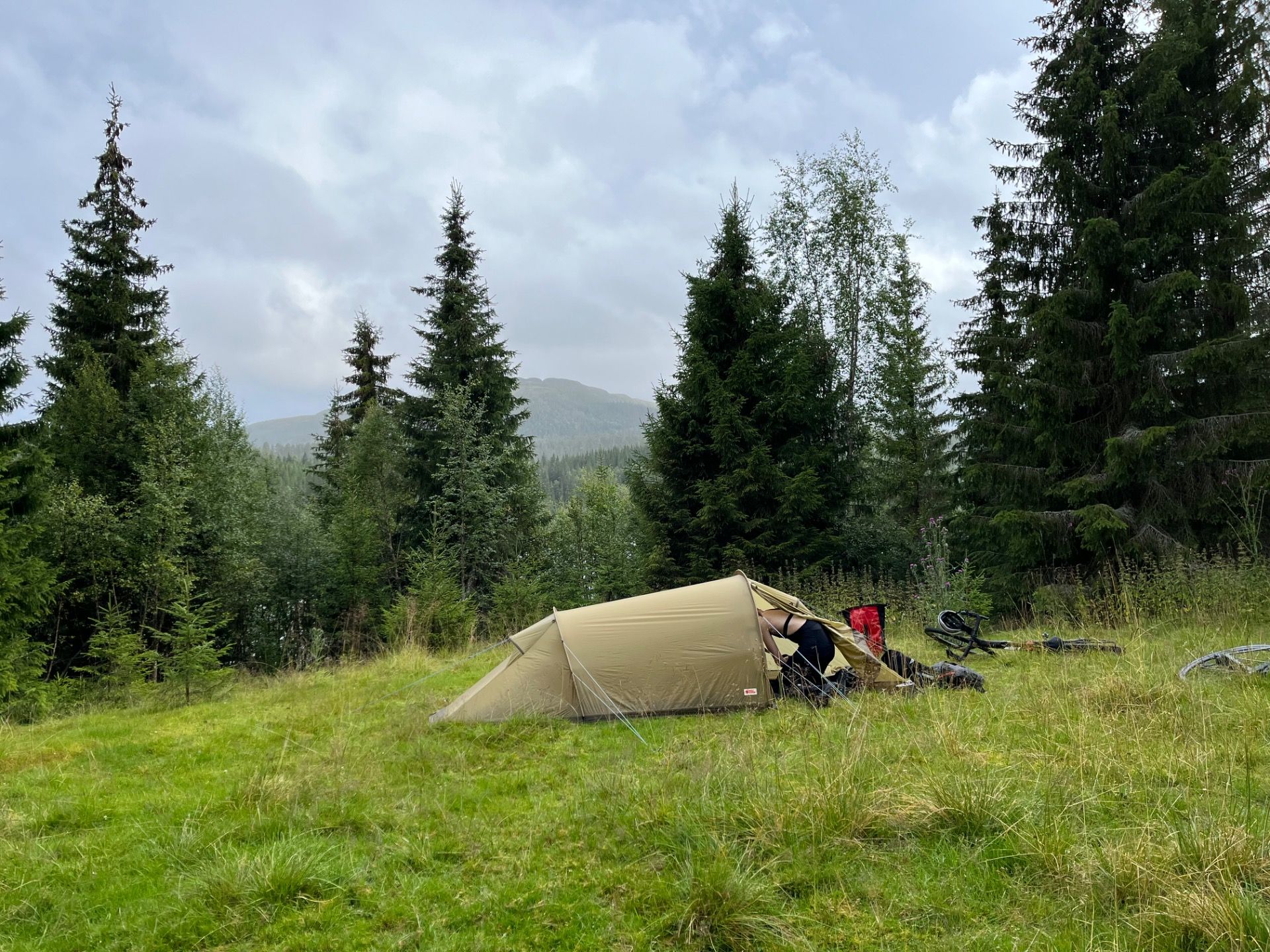 Das Zelt dann doch im Trockenen auf einer Waldlichtung aufgebaut. mit Gesellschaft von freilaufenden Schafen. 