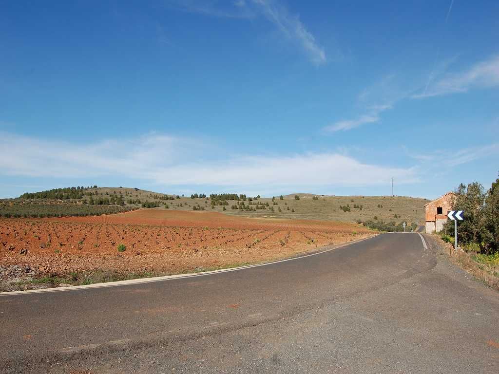 near Valdepeñas Castilla la Mancha