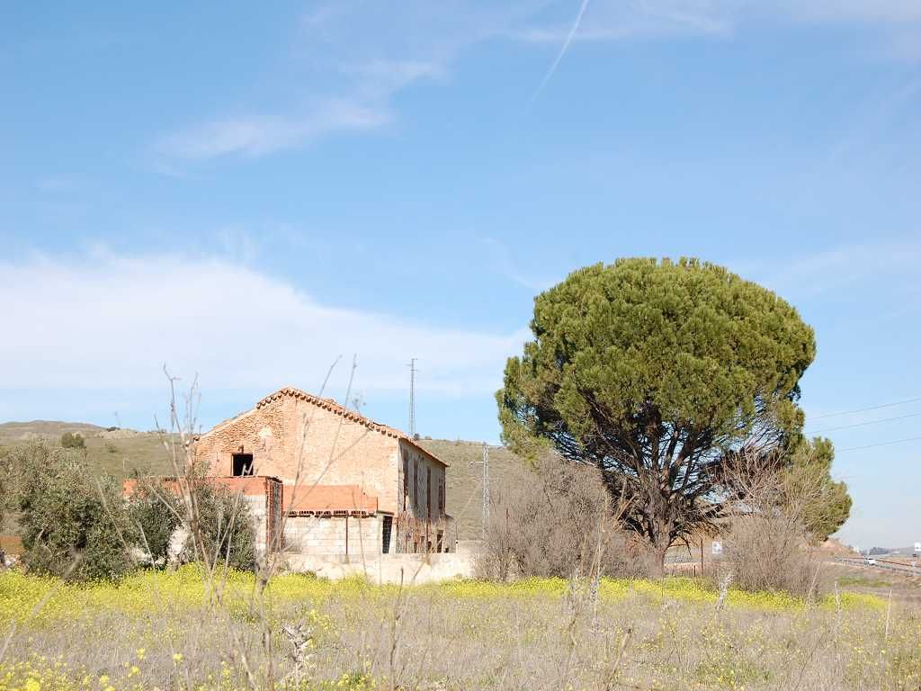 Abandoned farmhouse