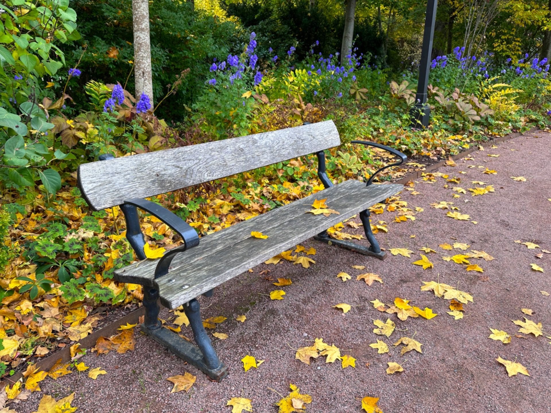 A place to sit and enjoy nature.