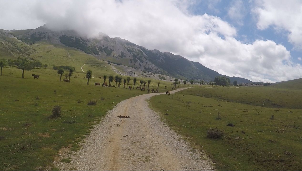 Large pastures in the mountains.