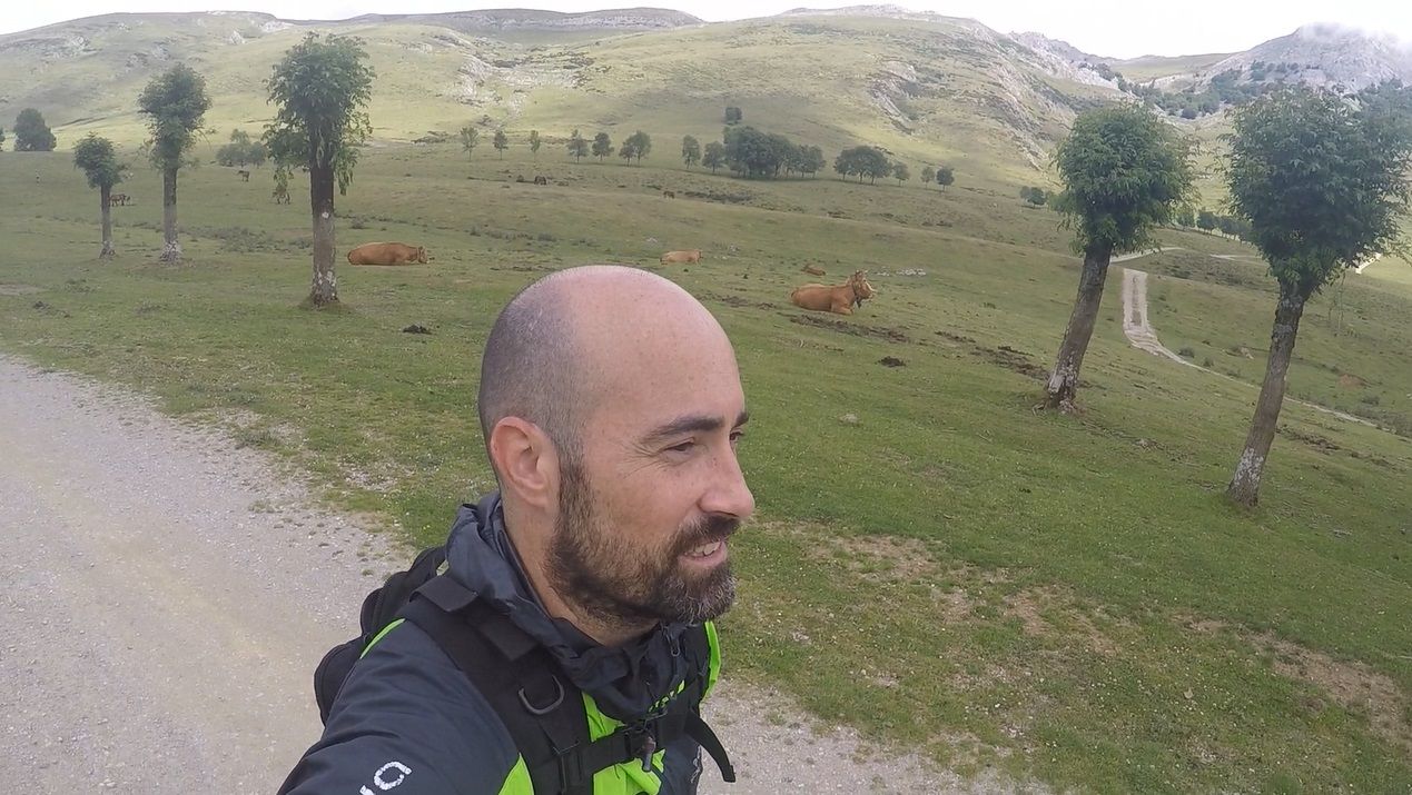 They seem small from far but they are very big animals.