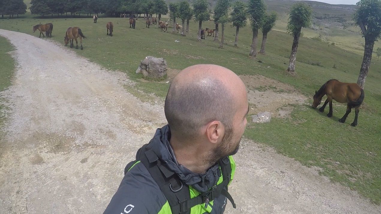 Keeping a safe distance between you and herds of horses and cows is highly recommended.