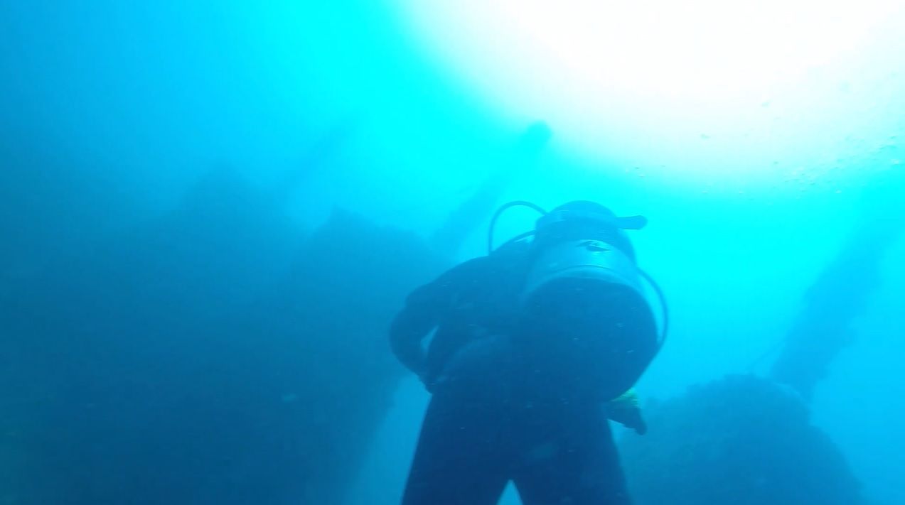 You don’t need to be an expert diver to enter here, but you do need to, at least, have the next course to the Basic Course.