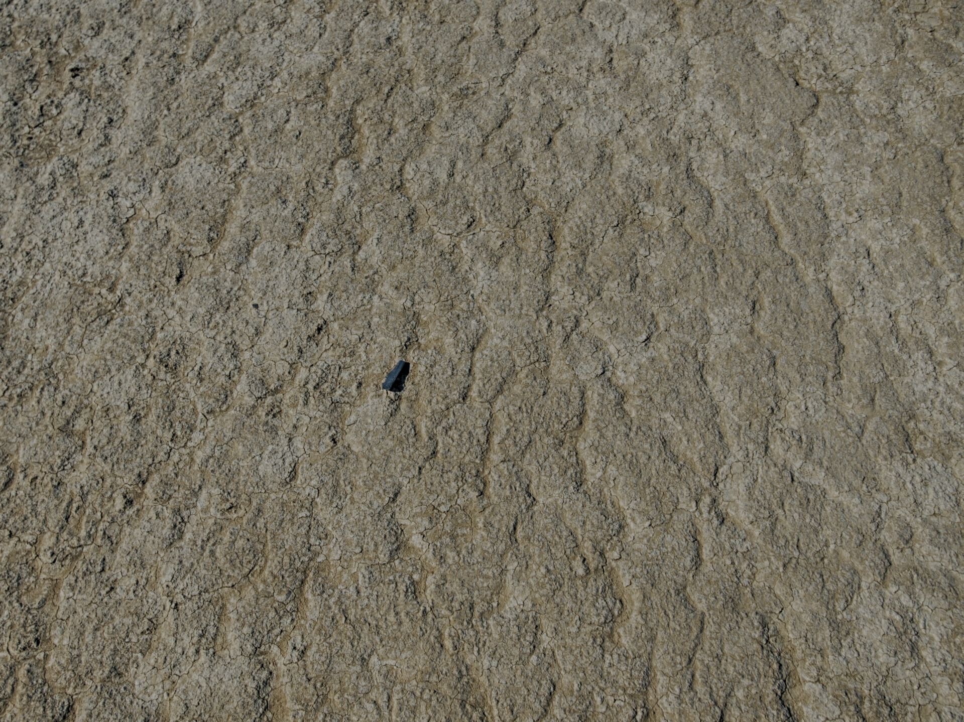 A Black Rock on the Black Rock Playa