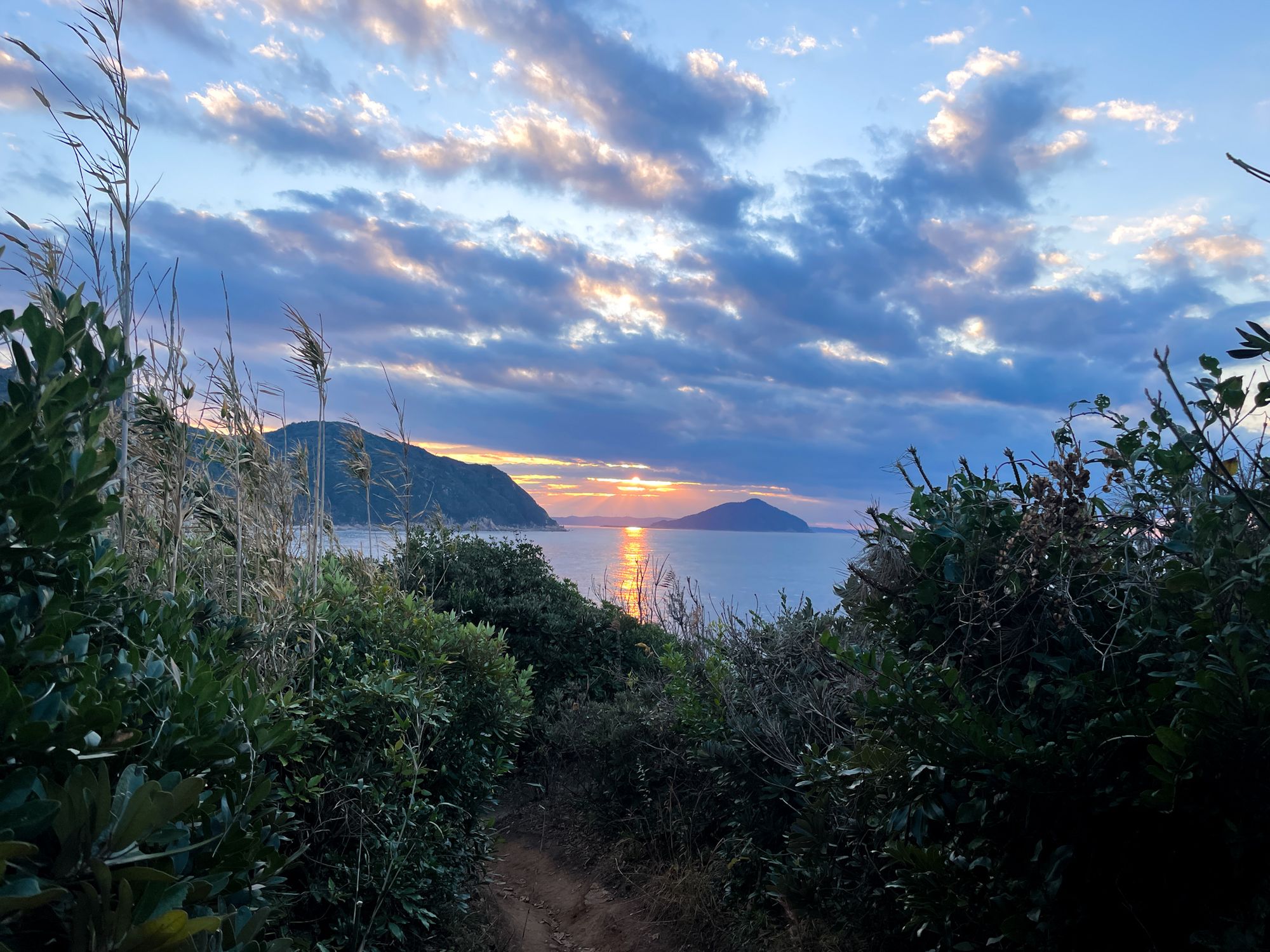 Ocean View After Totoro's Forest