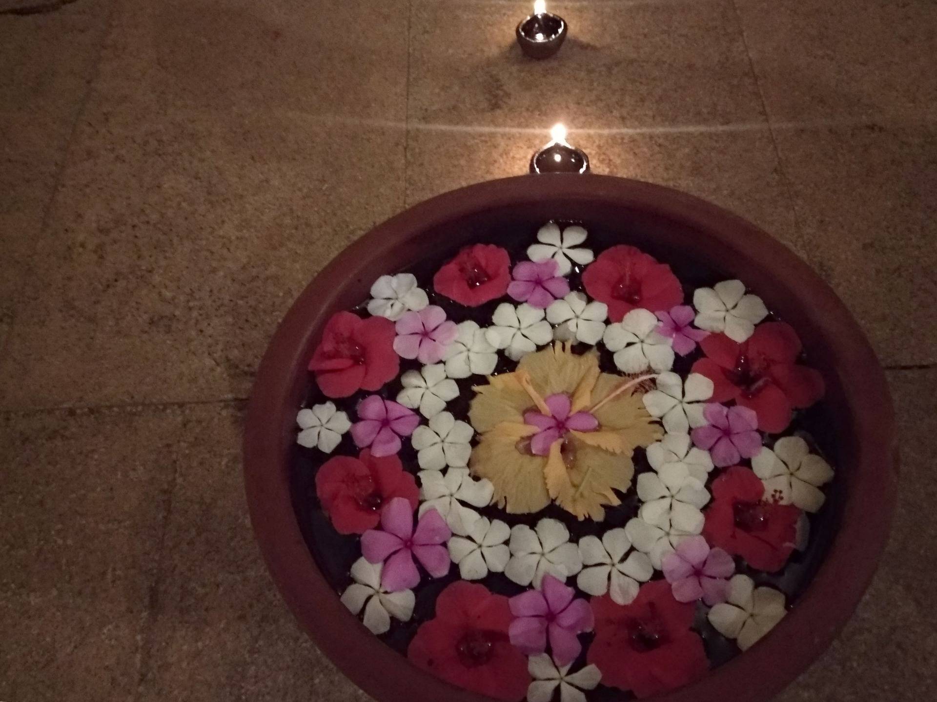 Vaidyagrama And Punarnava- A Healing Lifestyle