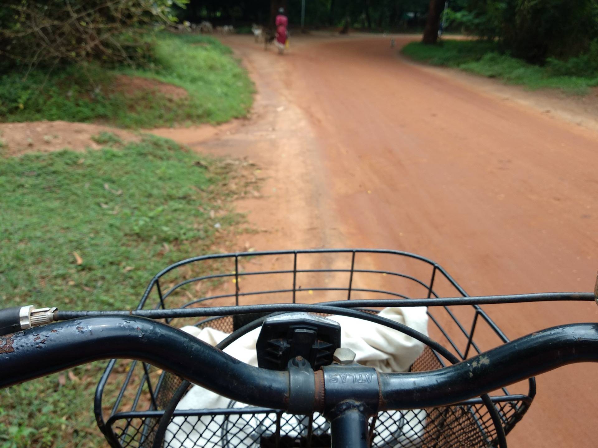 Auroville - How To Reach, Where To stay and The Basics