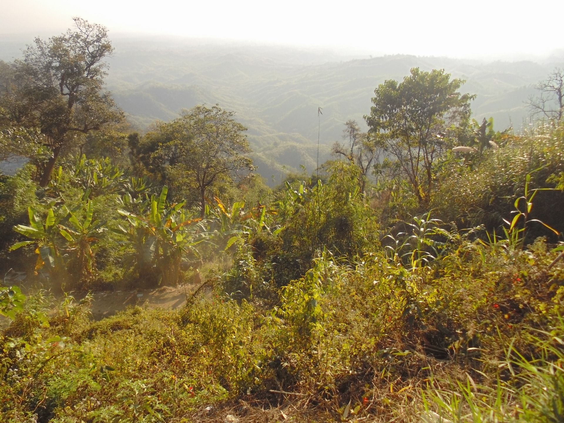 Beside top most hill