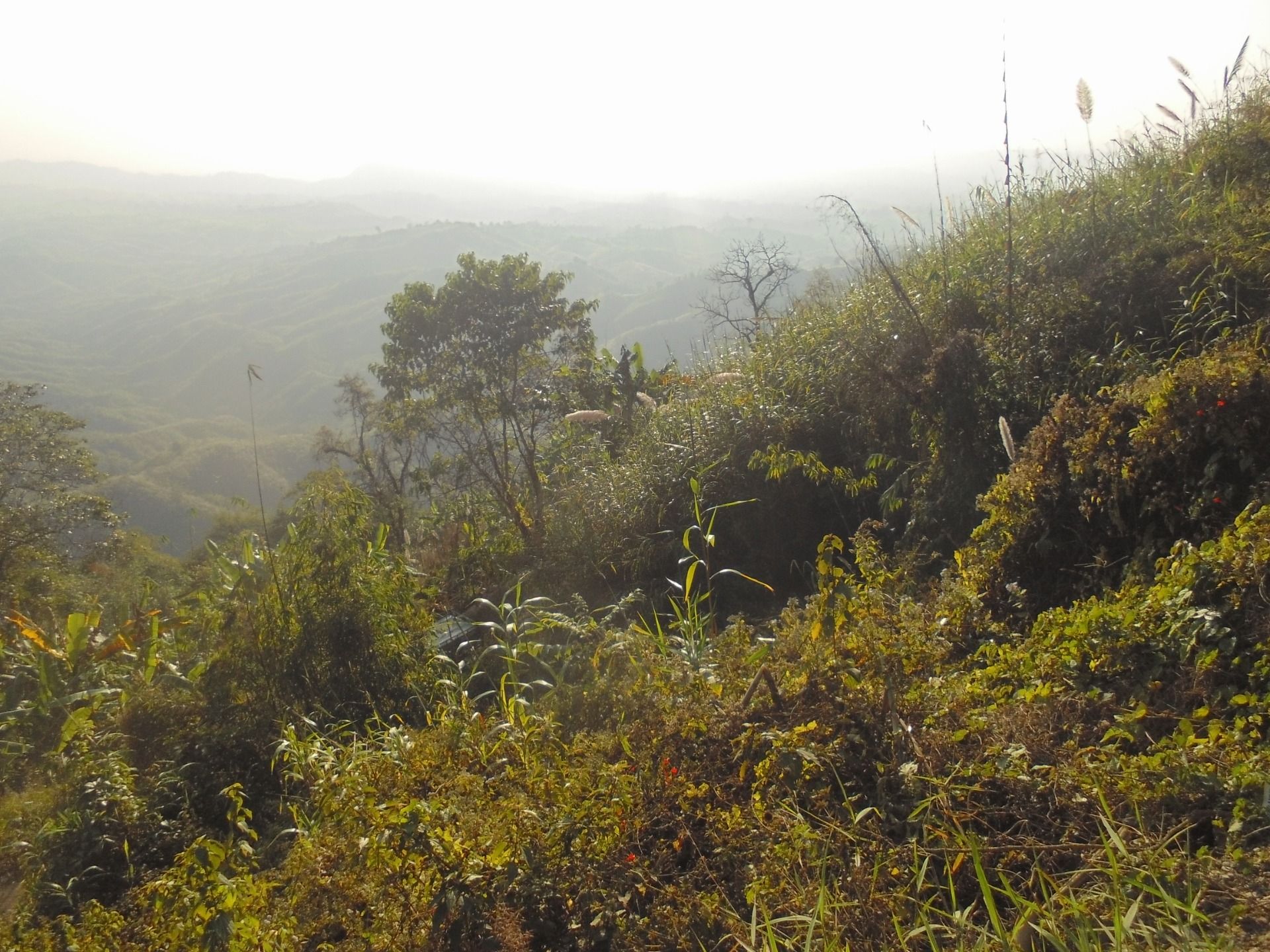 Almost done climbing