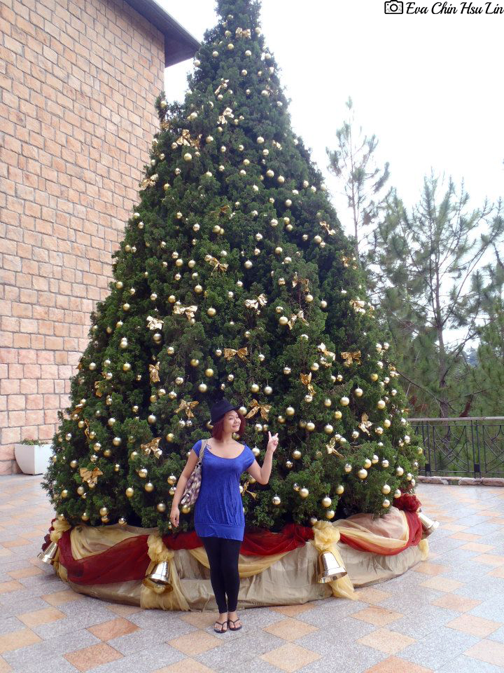 An enormous Christmas Tree on the balcony.