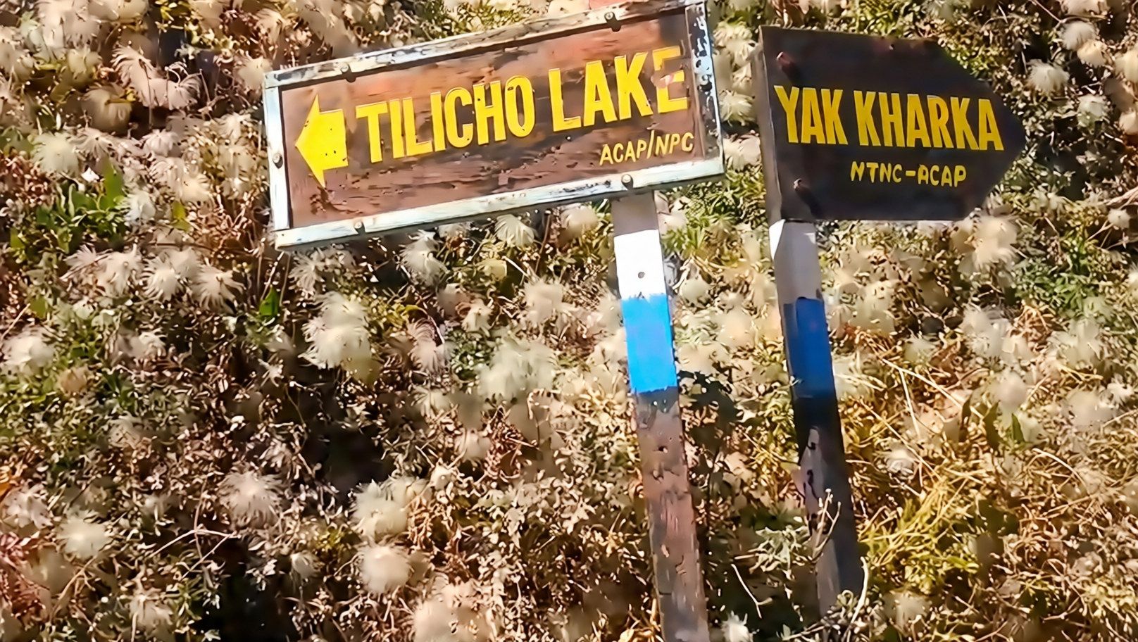 Signals on the trek route [Timestamp : 9:17]