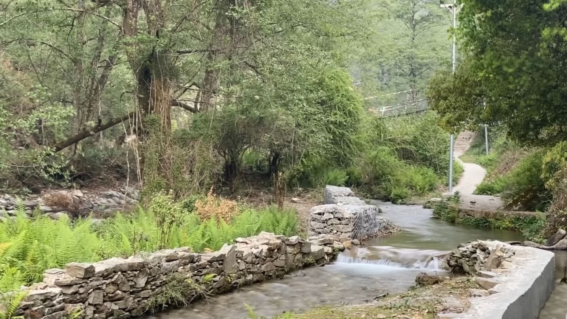 Stream flowing between stone walls along the trek route, surrounded by trees and ferns.