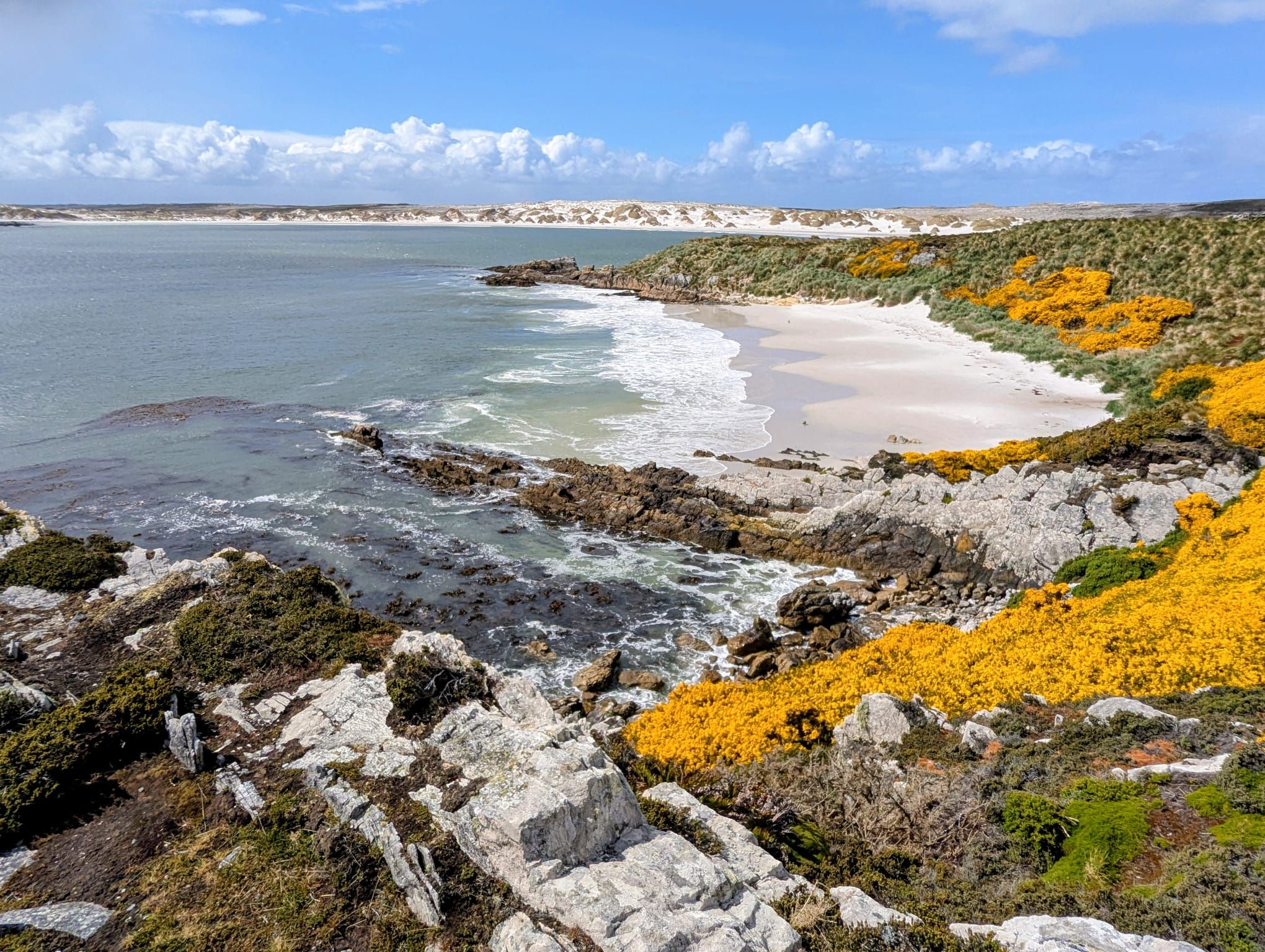 The Falklands and a lot of sea time.
