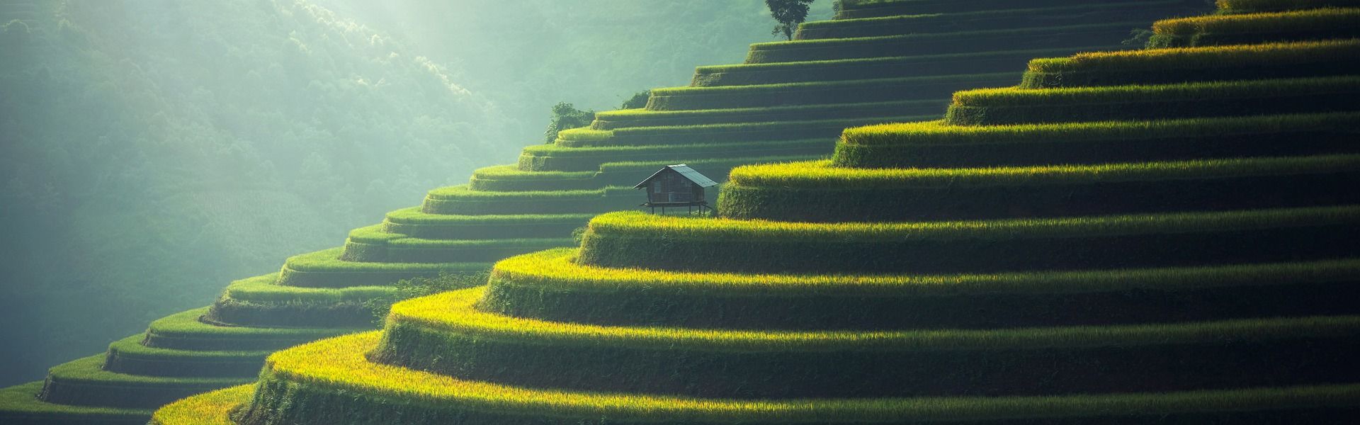 Bali