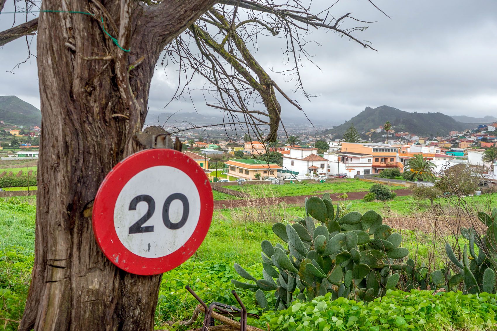 The Rolling Hills Of Las Mercedes