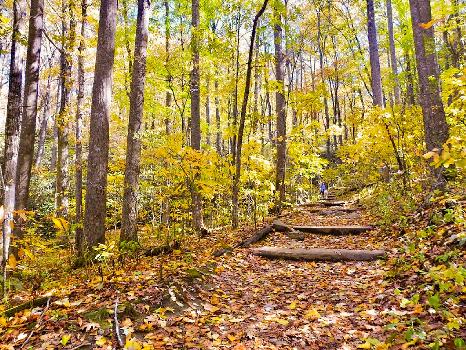 fall-5.jpg